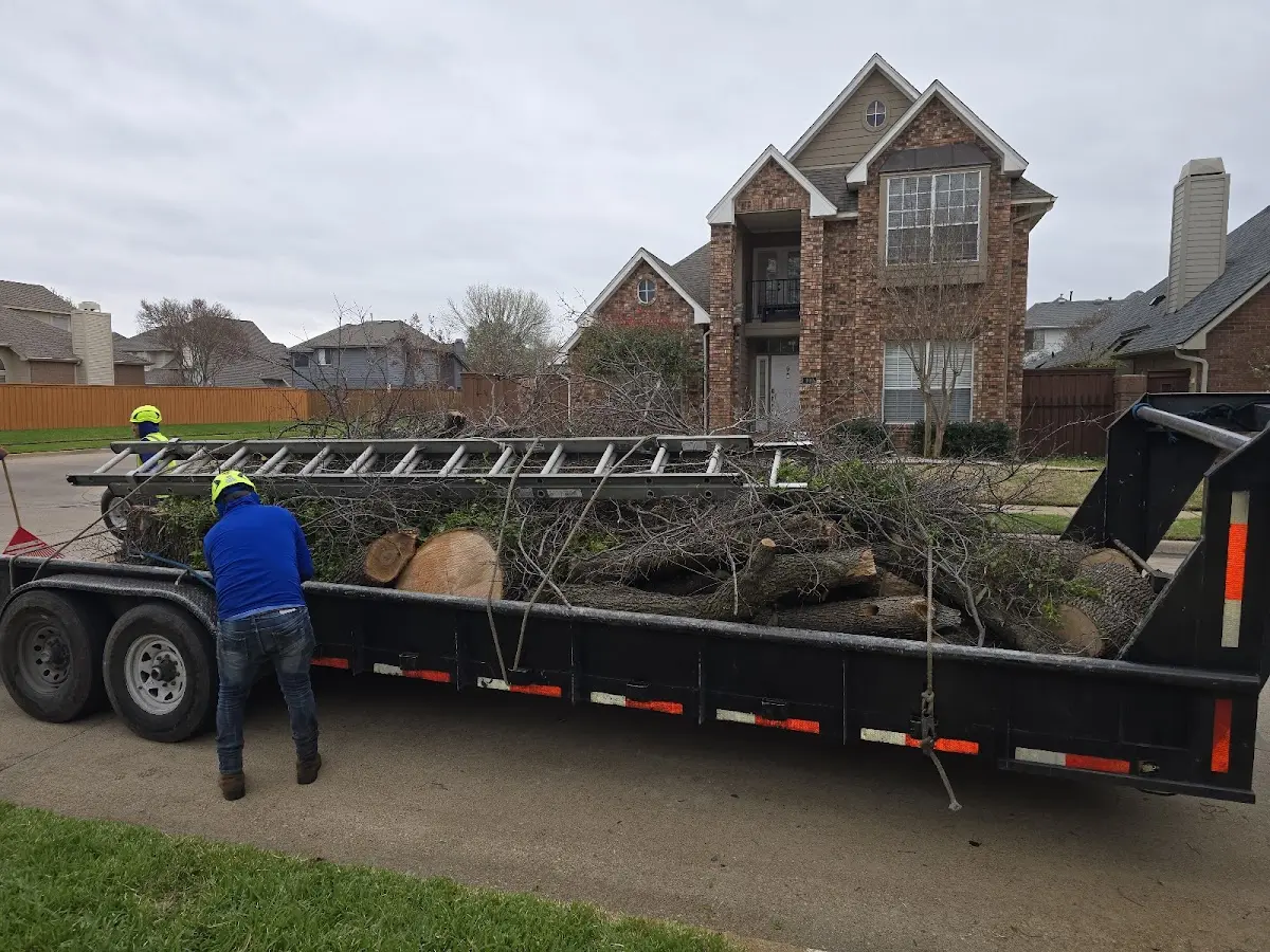 Expert Tree Fertilization with proper safety equipment in Holder